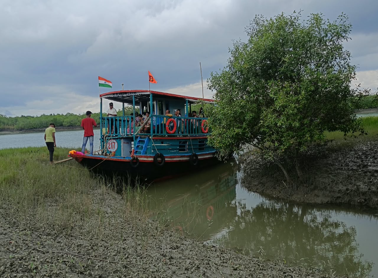 Mangrove Sanctuary & Wildlife