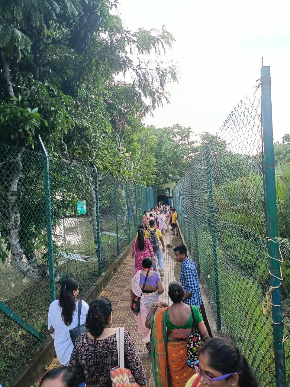 Royal Bengal Tiger Expedition
